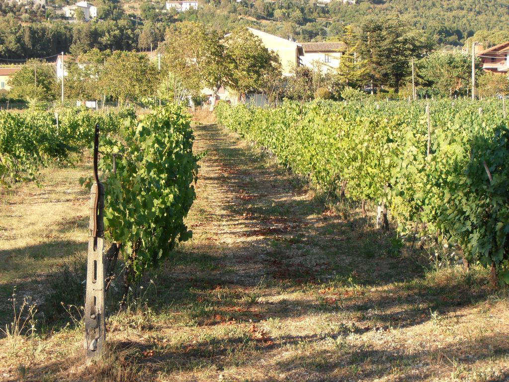 Agriturismo Ponte Di Riocchio غوبيو المظهر الخارجي الصورة